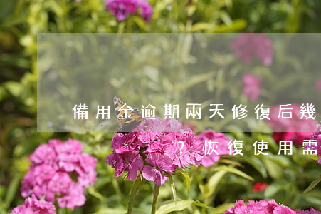 備用金逾期兩天修復后幾個小時后能取出來？恢復使用需等待多久？